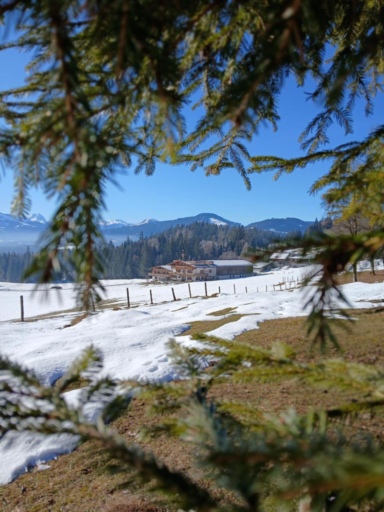 Ferienwohnung Maurerhof Sankt Johann in Tirol Esterno foto
