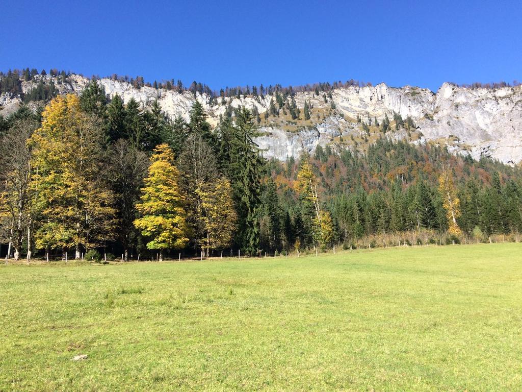 Ferienwohnung Maurerhof Sankt Johann in Tirol Esterno foto