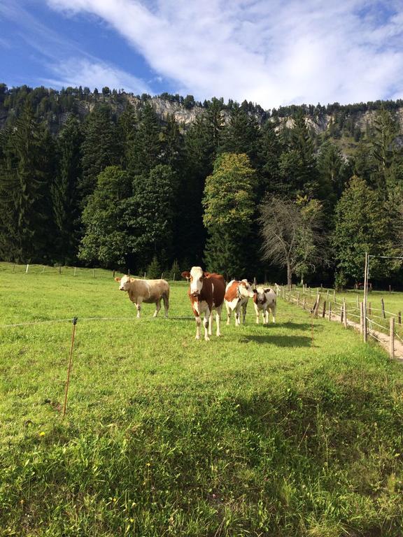 Ferienwohnung Maurerhof Sankt Johann in Tirol Esterno foto