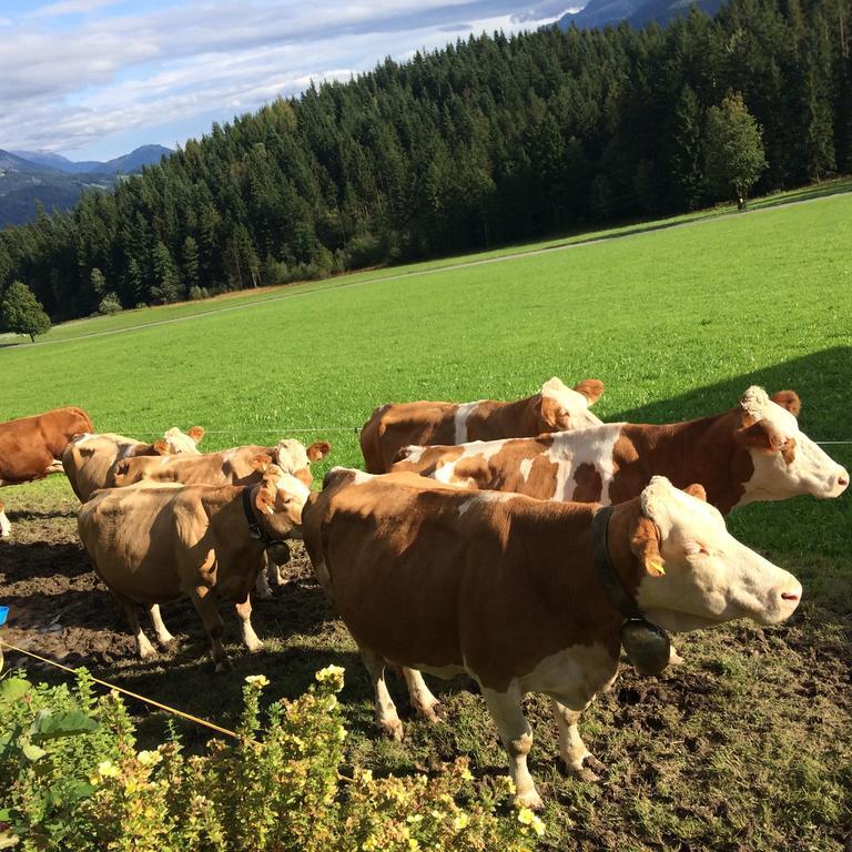 Ferienwohnung Maurerhof Sankt Johann in Tirol Esterno foto